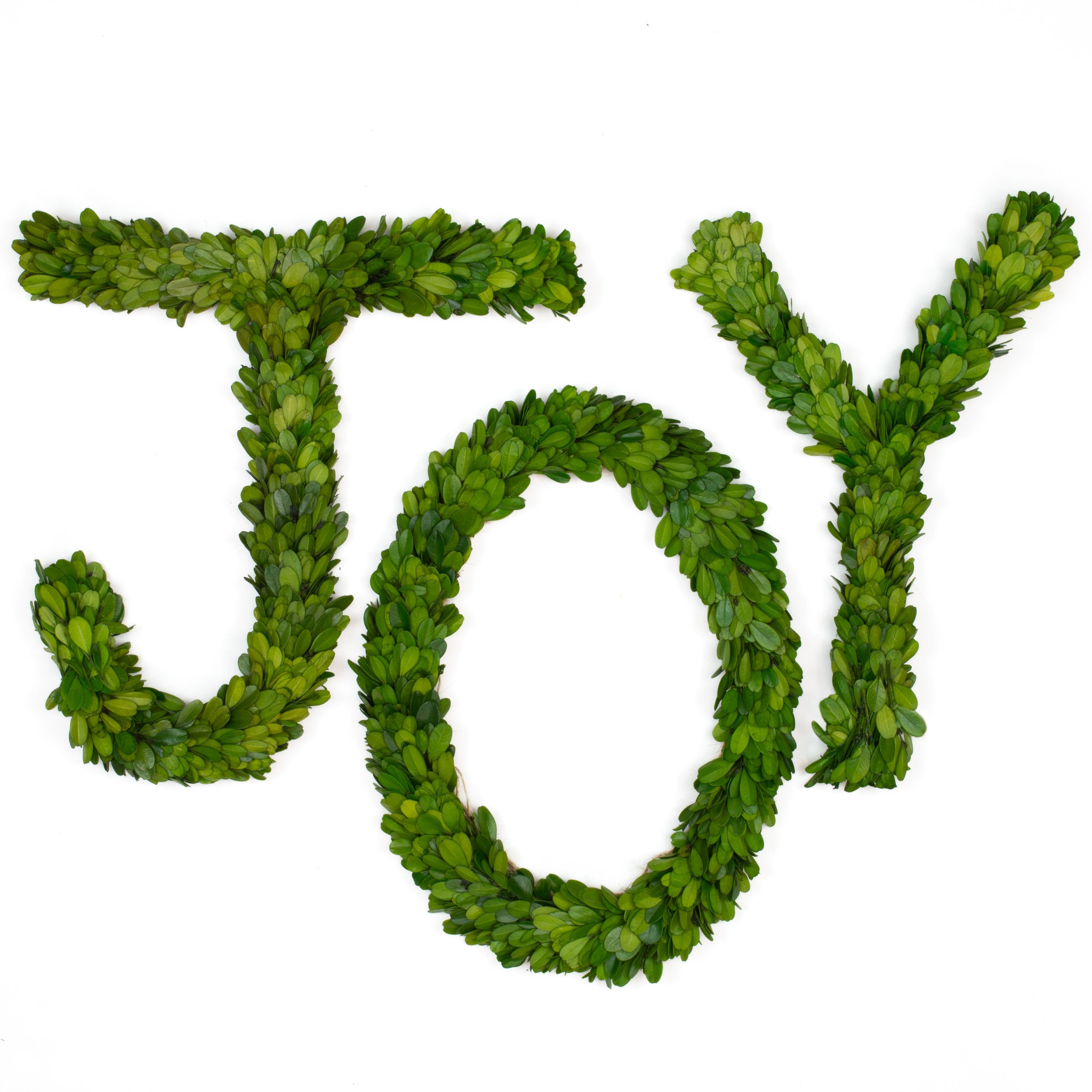 This simple design of boxwood features the word &quot;JOY&quot; in 12 inch boxwood letters in J, O and Y.