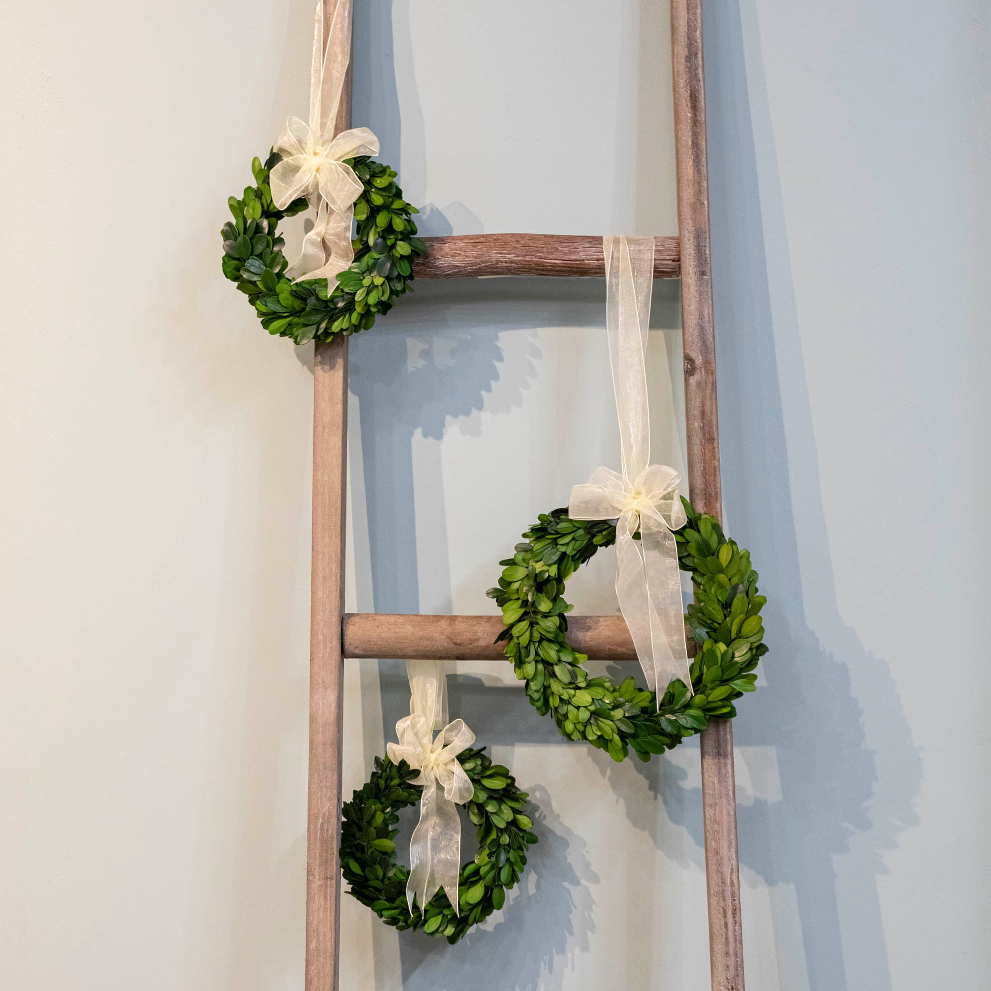 Mini Boxwood Circle Wreath