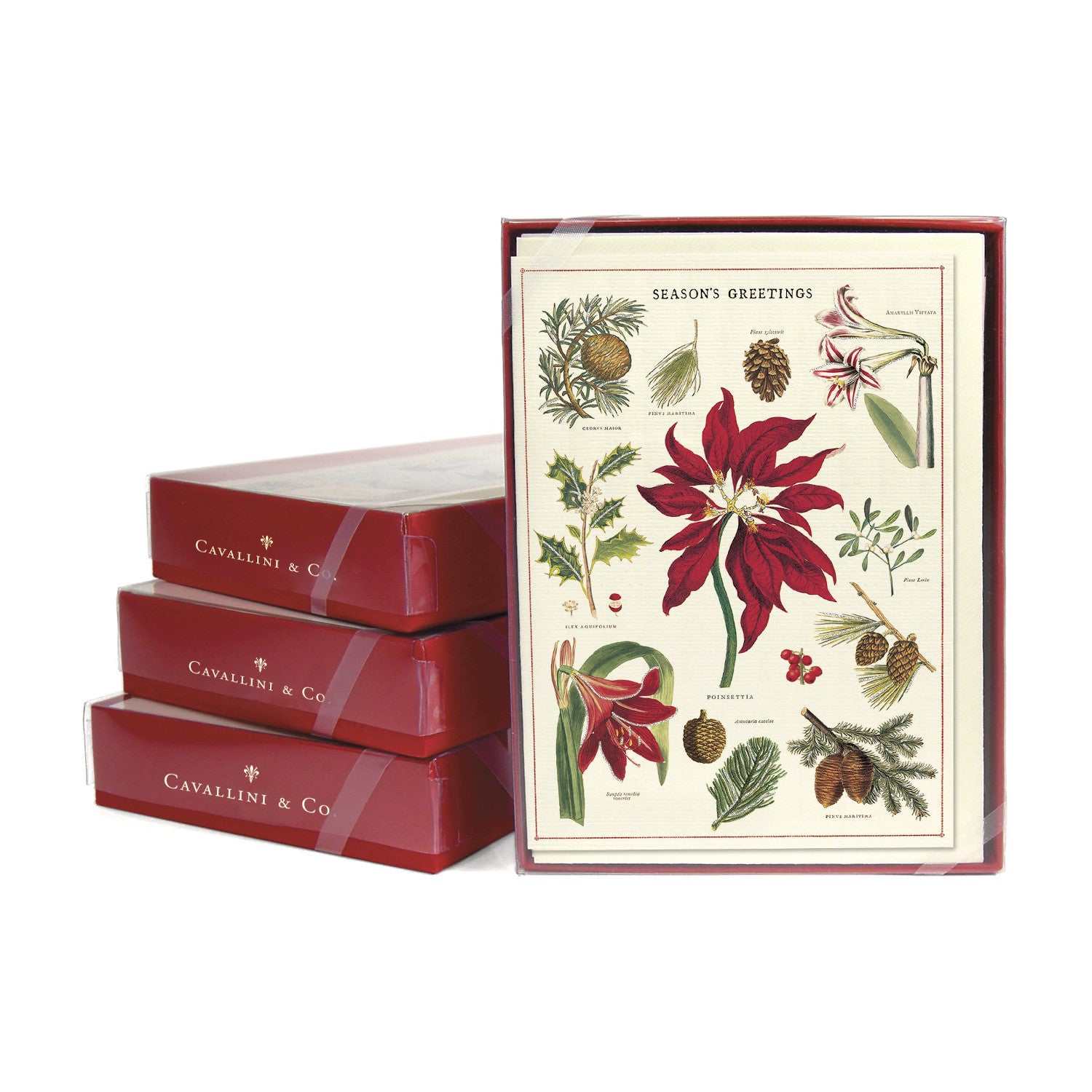 Stack of 3 boxed sets of Botanica Greeting Card Sets and one set facing front with image of various Holiday greenery on it. 